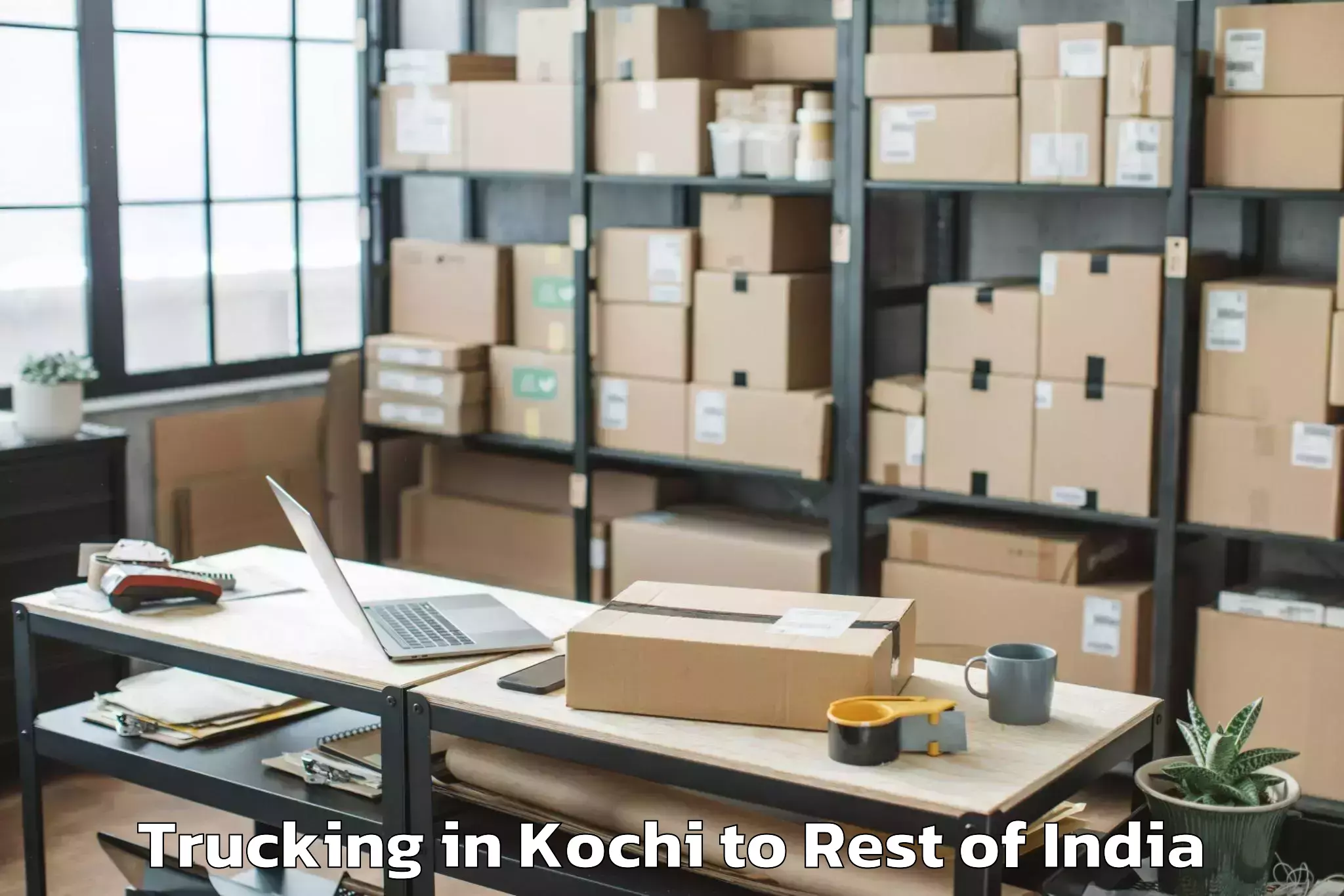 Book Kochi to Kezoma Trucking Online